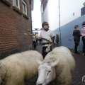 IMG_951746