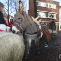 IMG_951781