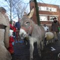 IMG_951782