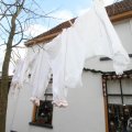 IMG_951861