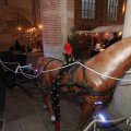 IMG_952452