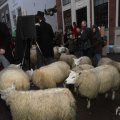 IMG_952553