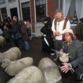 IMG_952554