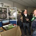 IMG_955982