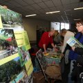 IMG_956246