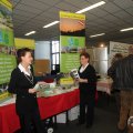 IMG_956276