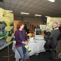 IMG_956313