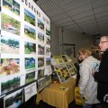 IMG_956325
