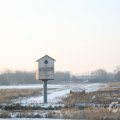 IMG_956471