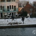 IMG_956494