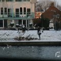 IMG_956495
