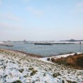 IMG_956497