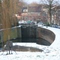 IMG_956505