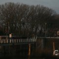 IMG_956532