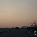 IMG_956541