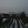 IMG_956546