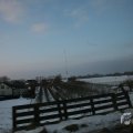 IMG_956547