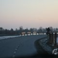 IMG_956554