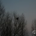 IMG_956564
