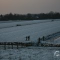 IMG_956566