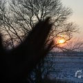 IMG_956589