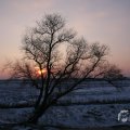 IMG_956593