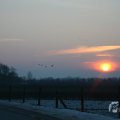 IMG_956629