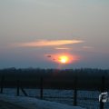 IMG_956631