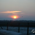IMG_956633