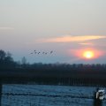 IMG_956634