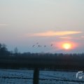 IMG_956635