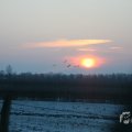 IMG_956636
