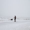 IMG_956929