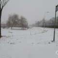 IMG_956931