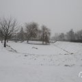 IMG_956932