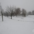 IMG_956933