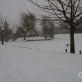 IMG_956935