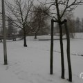 IMG_956936