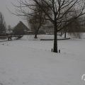 IMG_956937
