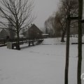 IMG_956938