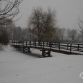 IMG_956939