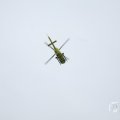 IMG_957875