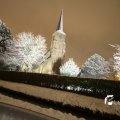 IMG_958477