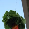 IMG_959439