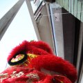 IMG_959445