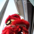 IMG_959446