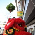 IMG_959447