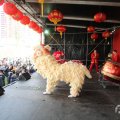 IMG_959973