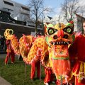 IMG_960021