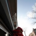 IMG_960368